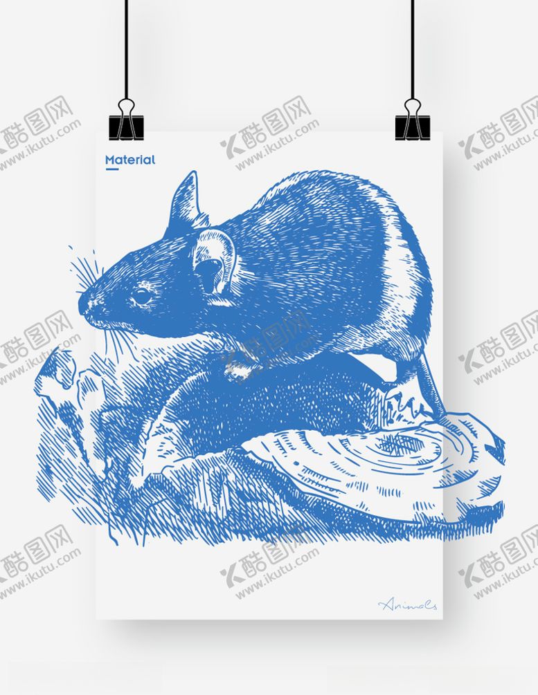 编号：14005209210916426716【酷图网】源文件下载-老鼠