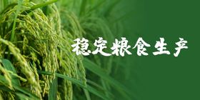 粮食生产办点示范牌