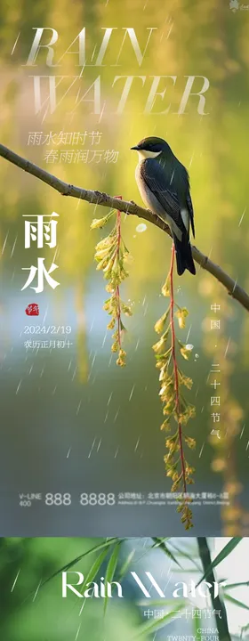 雨水节气海报下地产二十四