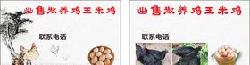 放养土鸡名片