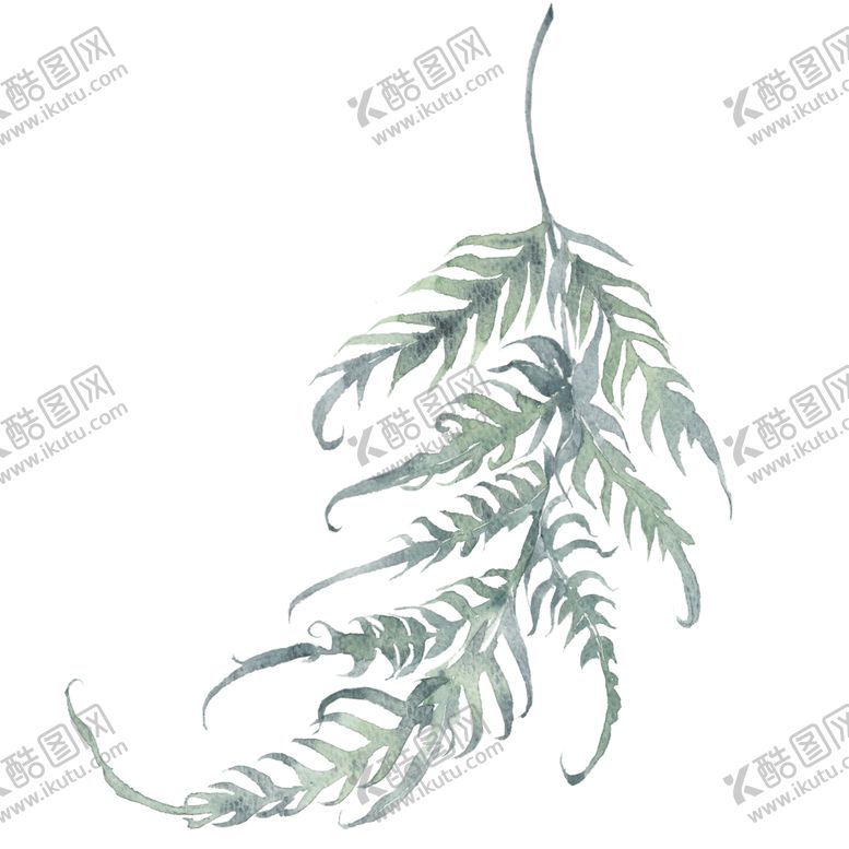 编号：65849809141555067799【酷图网】源文件下载-小清新水彩植物树枝