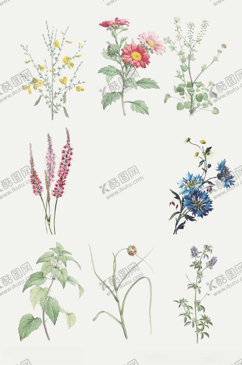 编号：11905402270430223465【酷图网】源文件下载-中国风手绘花卉草药矢量元素
