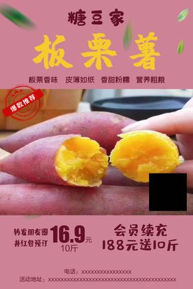 板栗薯