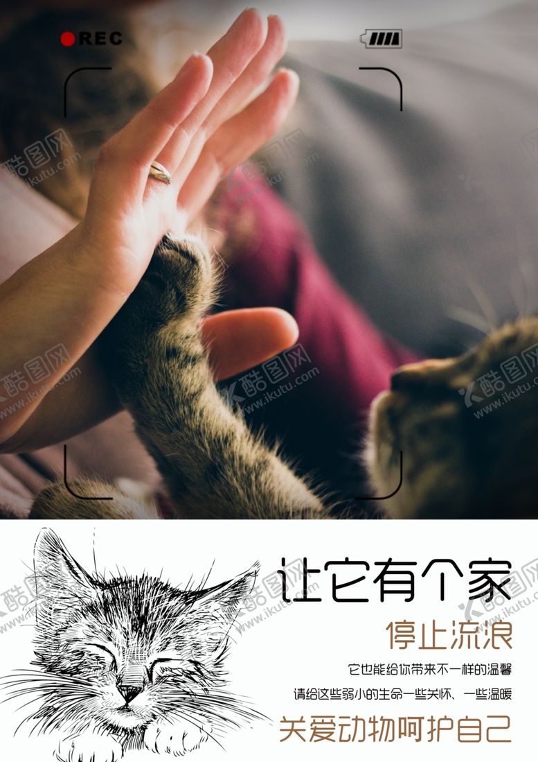 编号：29083405181841327898【酷图网】源文件下载-关爱动物