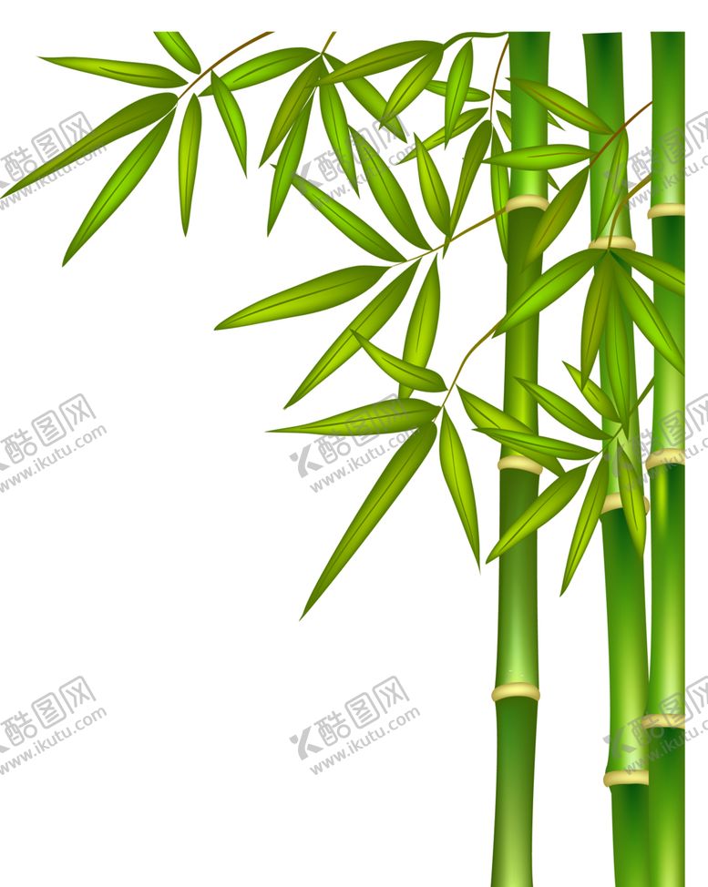 编号：51838601271650541370【酷图网】源文件下载-竹子 图片 竹叶 png  手