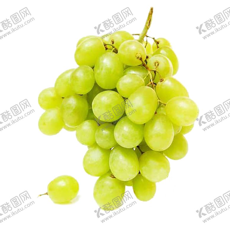 编号：40350310191437221938【酷图网】源文件下载-水果