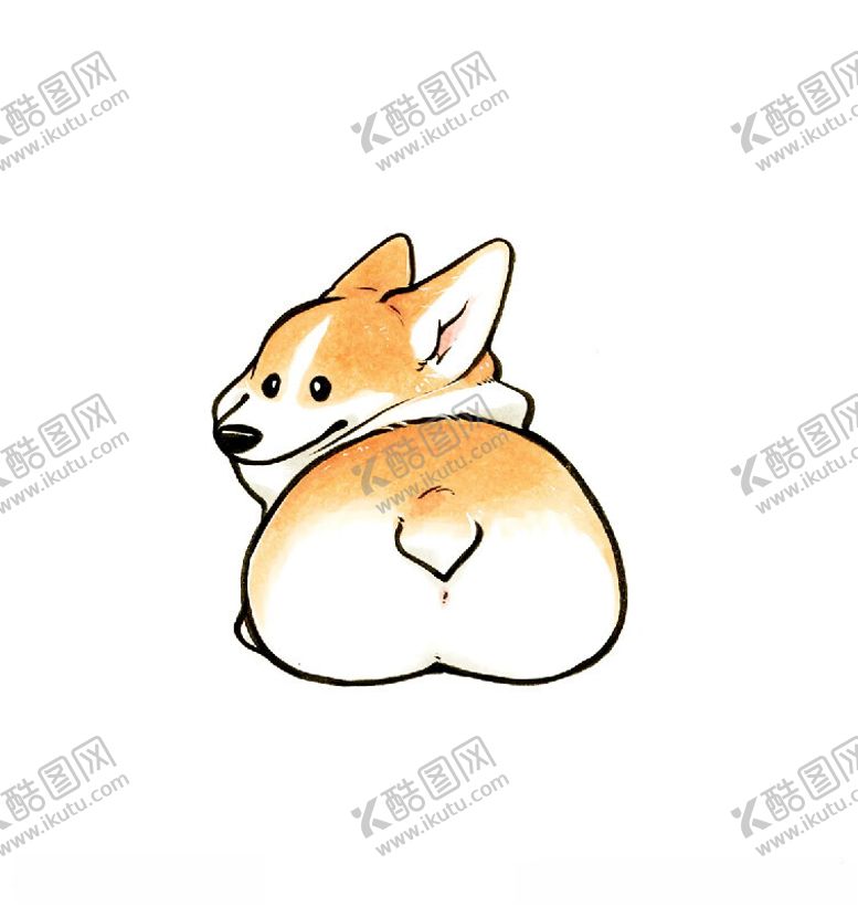 编号：48475802182333164993【酷图网】源文件下载-柯基