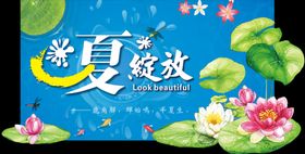 夏绽放