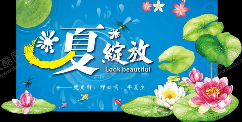 编号：67384110251512545226【酷图网】源文件下载-夏绽放