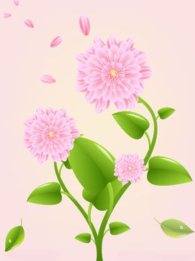 粉红牡丹装饰画