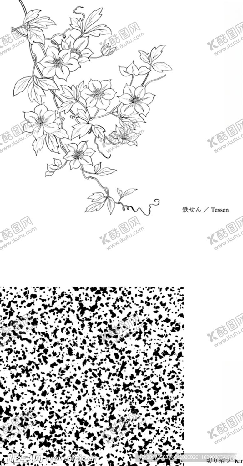 编号：90103210022349572543【酷图网】源文件下载-日本线描植物花卉矢量素材