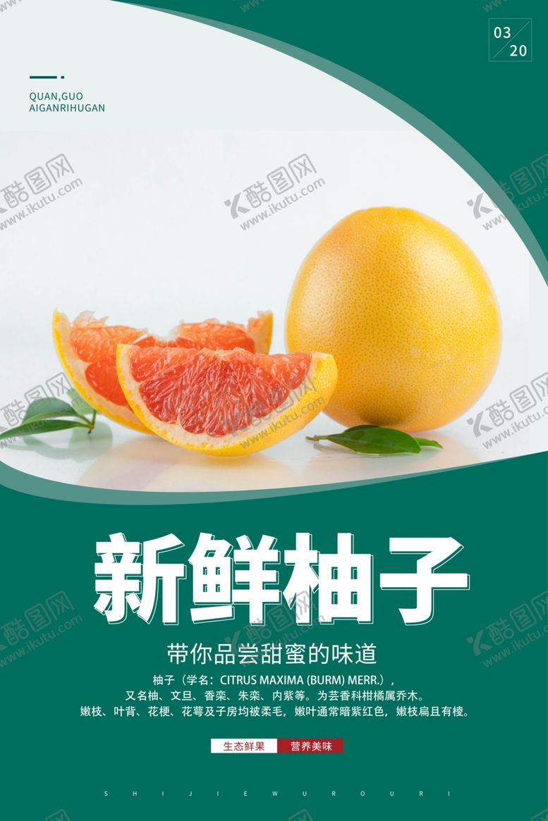 编号：11494410100707353632【酷图网】源文件下载-柚子