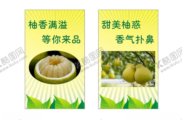 编号：67317602030658455815【酷图网】源文件下载-真龙柚柚子
