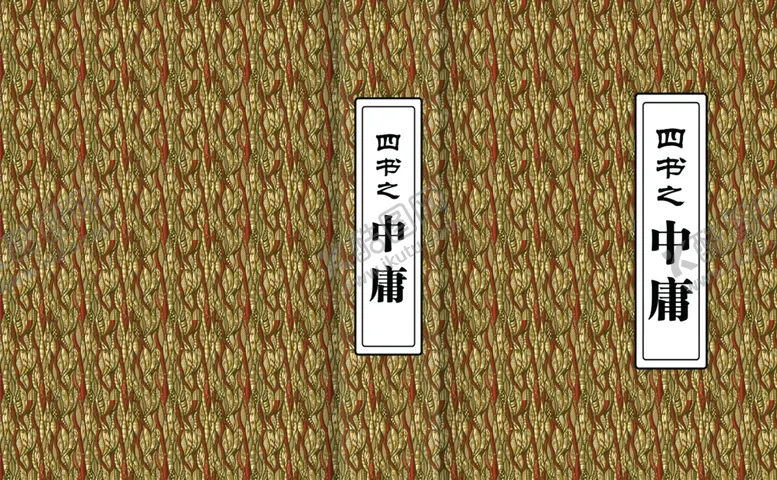 编号：10386302090925441212【酷图网】源文件下载-中庸古书经典封面