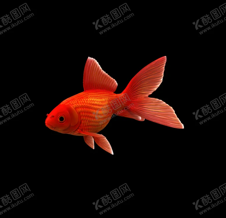 编号：58226206242258067289【酷图网】源文件下载-海洋生物