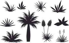 热带植物菠萝矢量图