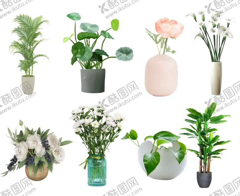 编号：35150101151000284126【酷图网】源文件下载-植物