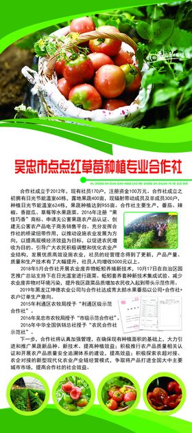 番茄地种植
