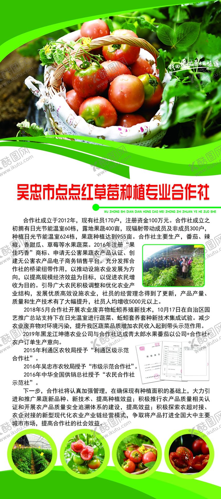 编号：82951707090155466924【酷图网】源文件下载-番茄种植