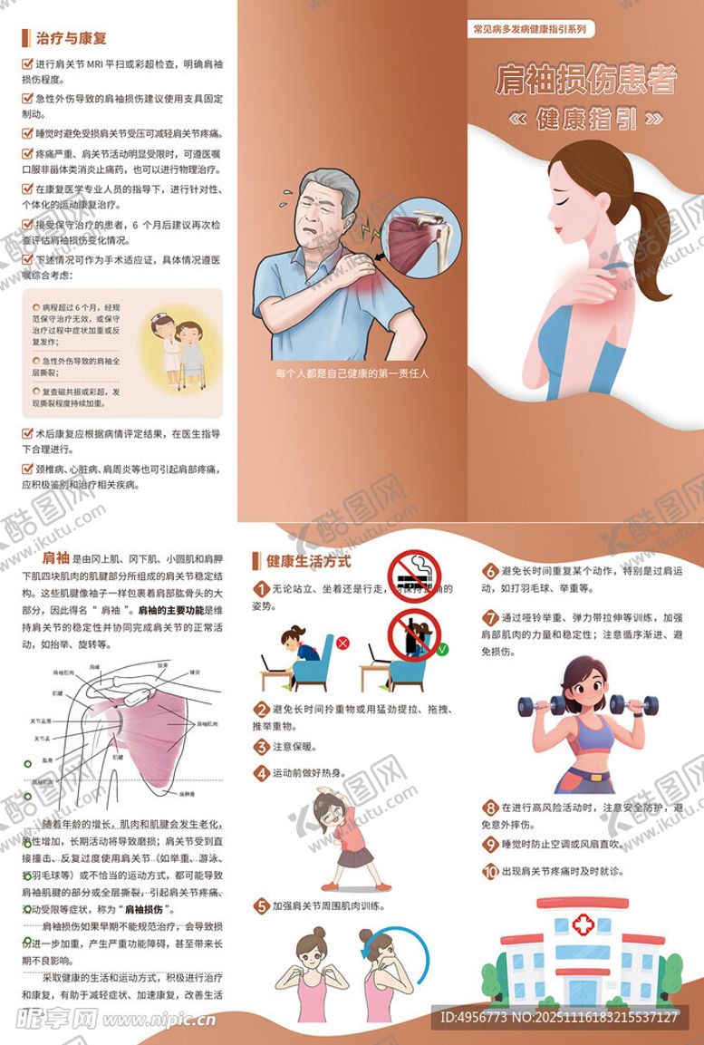 编号：70151611202048544563【酷图网】源文件下载-肩袖损伤患者健康指引三折页