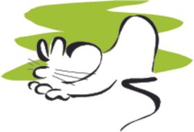 老鼠