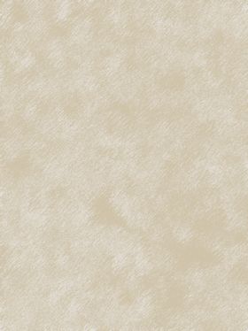 毛绒短边抽象纹样肌理感纹理背景