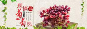 摘葡萄活动海报