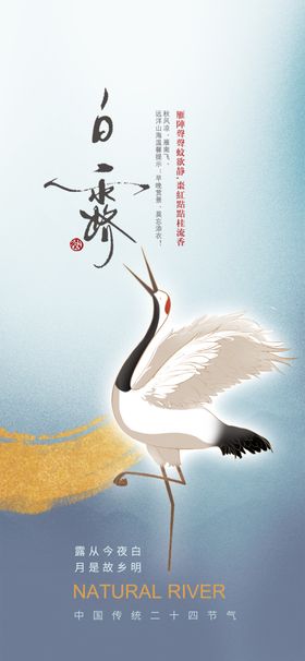 白露单张背景水雾