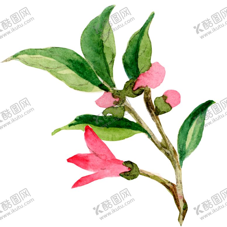 编号：61840109212214217035【酷图网】源文件下载-手绘花草牡丹花园元素素材