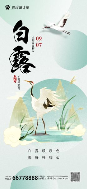 白露创意海报