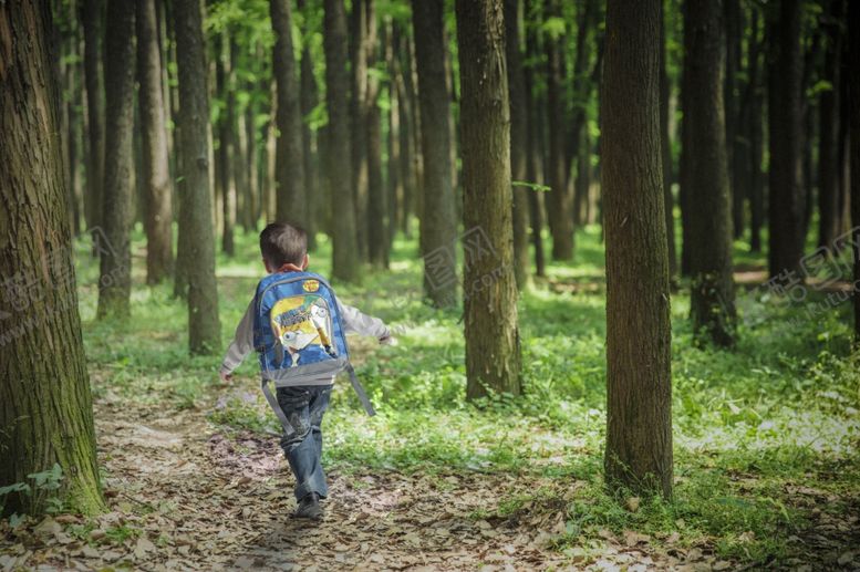 编号：66996607091022249128【酷图网】源文件下载-树林里的儿童