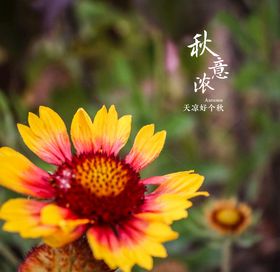 秋天拍摄
