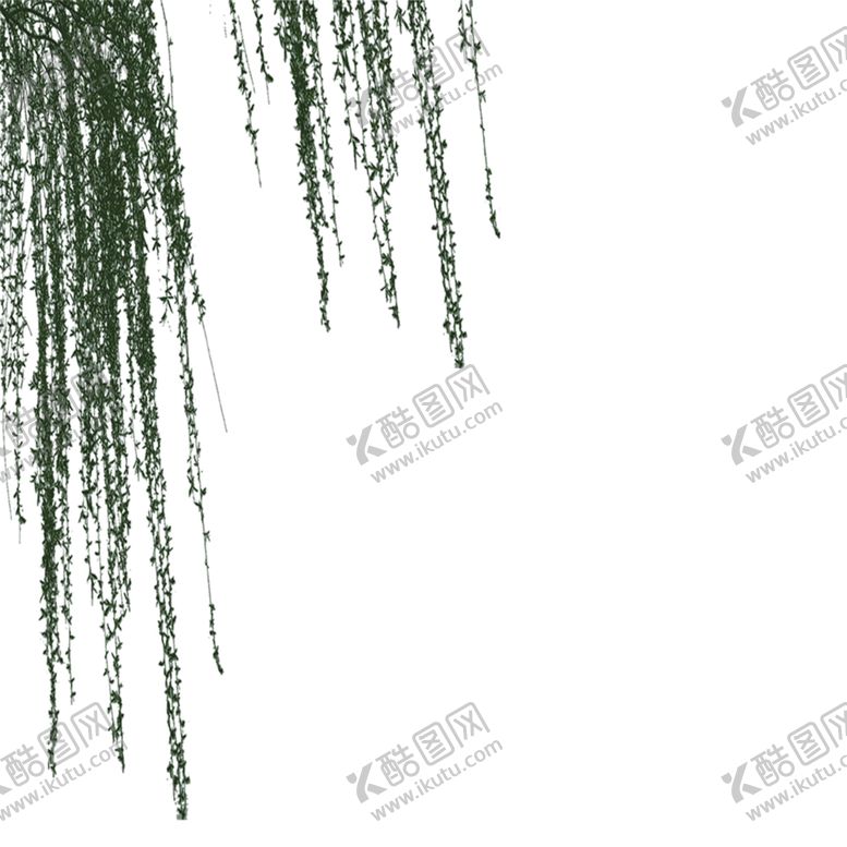 编号：41929606290643569033【酷图网】源文件下载-绿色植物
