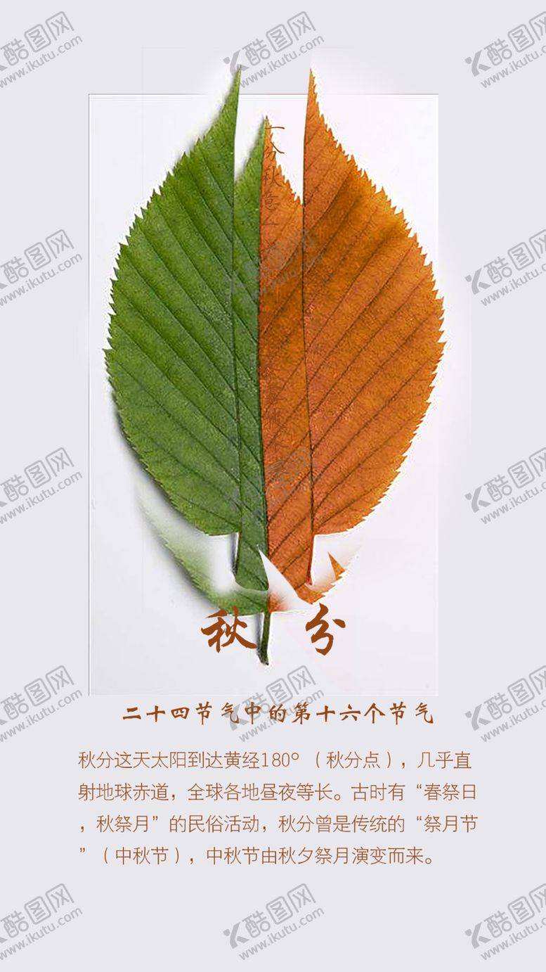 编号：75917109281454437793【酷图网】源文件下载-秋分节日节气