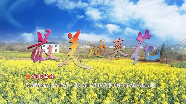 编号：26196407091928404896【酷图网】源文件下载-最美油菜花