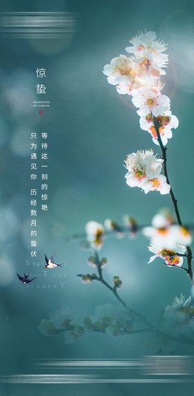 节气热点品宣图系列海报