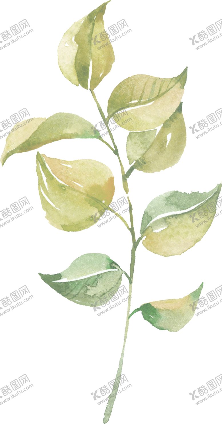 编号：21838409241346029661【酷图网】源文件下载-水彩手绘花卉花朵植物
