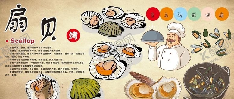 编号：78320309280200166577【酷图网】源文件下载-蒜蓉扇贝背景墙CDR模板下载