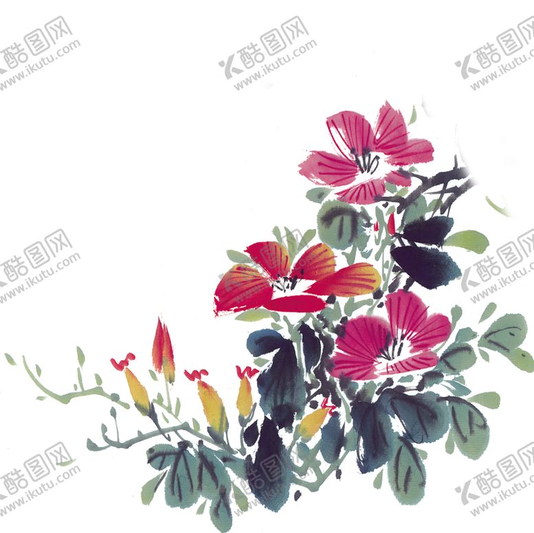 编号：24664207031209031828【酷图网】源文件下载-菊花装饰