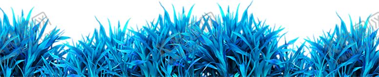 编号：82247410302017185706【酷图网】源文件下载-花素材