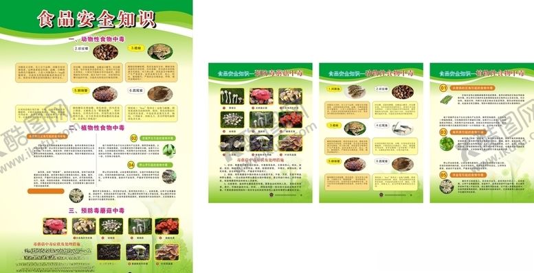 编号：38656409271041207773【酷图网】源文件下载-食品安全知识