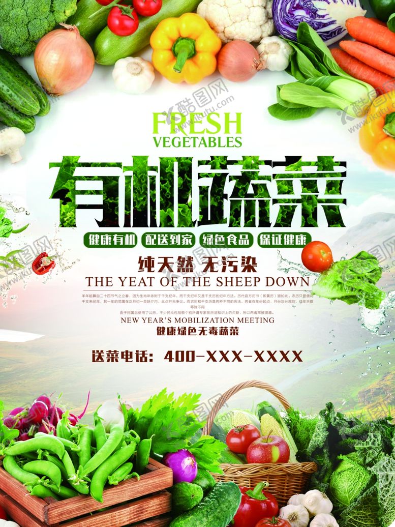 编号：91635010290531003896【酷图网】源文件下载-有机蔬菜