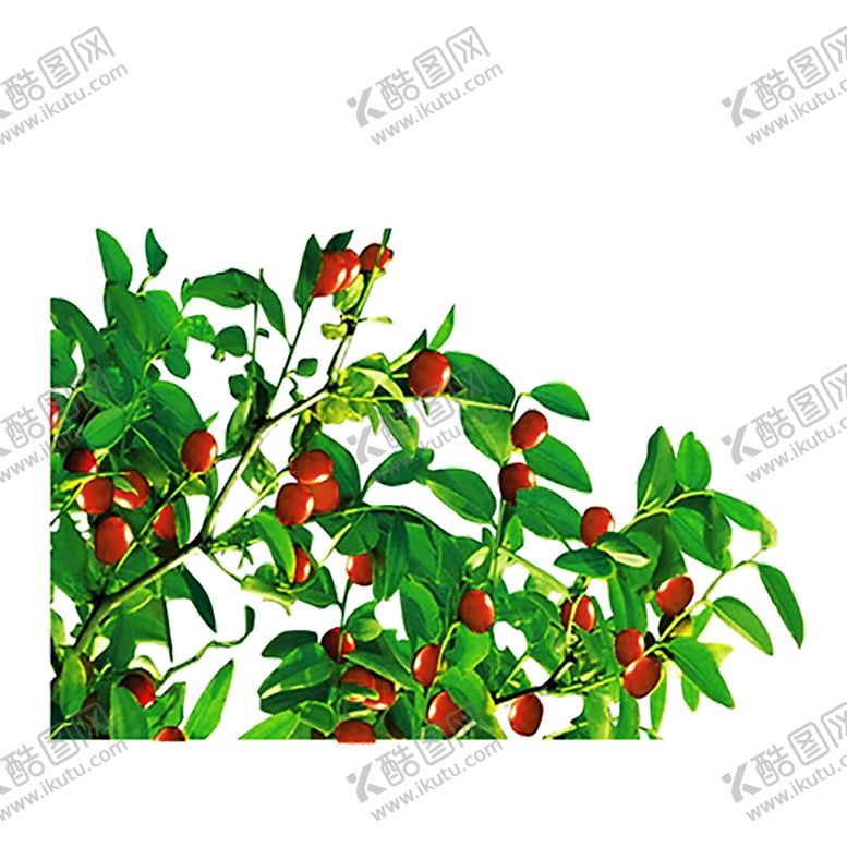 编号：20030910100205093186【酷图网】源文件下载-绿色装饰