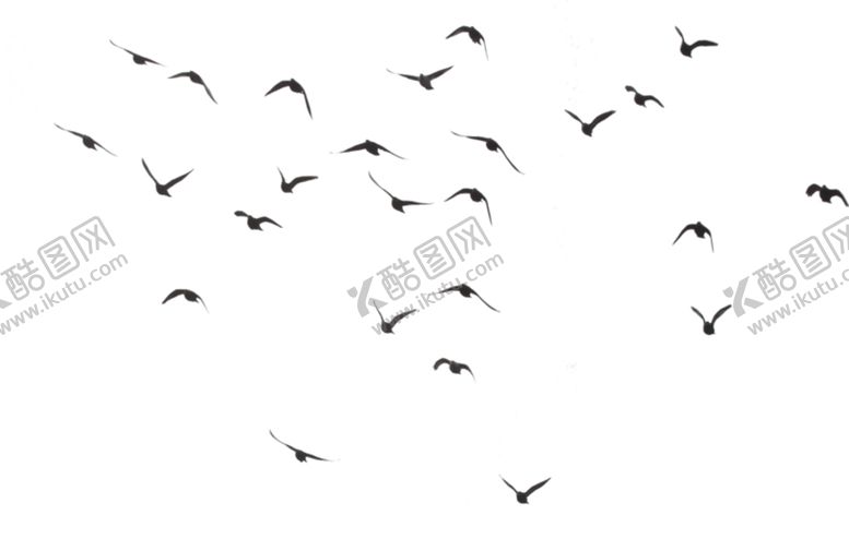 编号：44382309180137239278【酷图网】源文件下载-png鸟图片