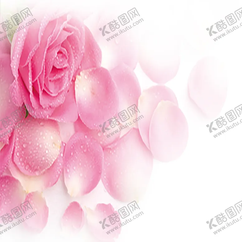 编号：76357605181713595797【酷图网】源文件下载-手绘植物花卉