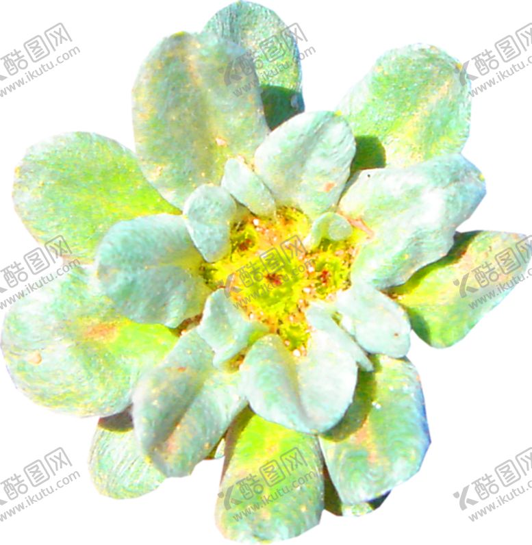 编号：80507307081523177639【酷图网】源文件下载-鲜花装饰