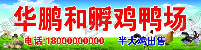 编号：85791407021551232046【酷图网】源文件下载-孵鸡鸭场广告