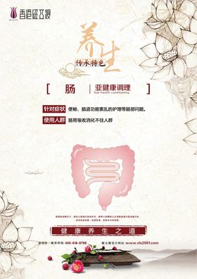 磁立瘦养生海报肠道