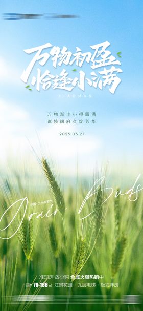 地产小满节气海报田谷物麦穗