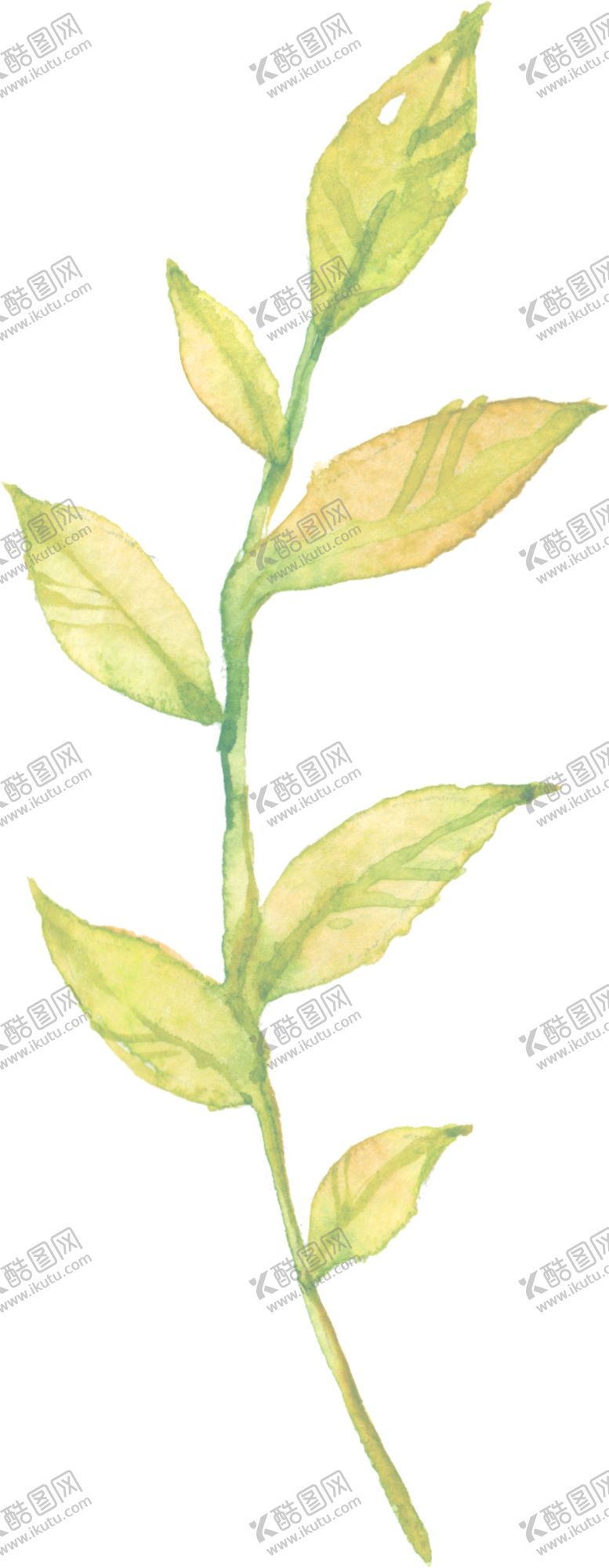 编号：11774610260924149055【酷图网】源文件下载-绿叶
